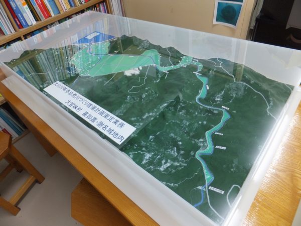 大川川模型